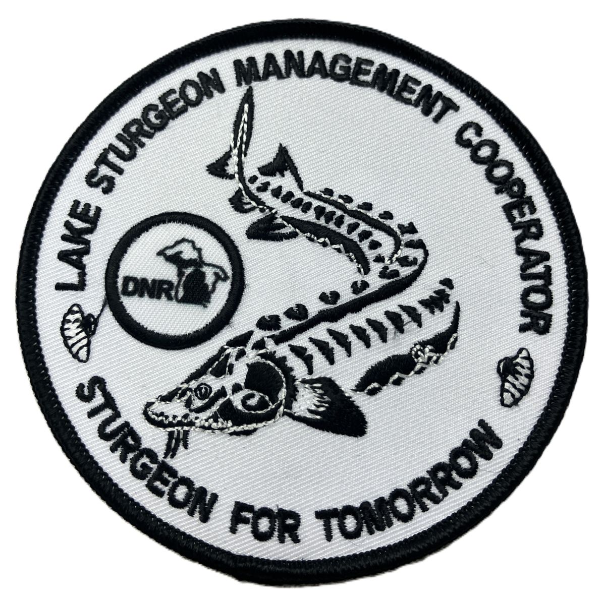 Lake Sturgeon Management Patch Michigan DNR