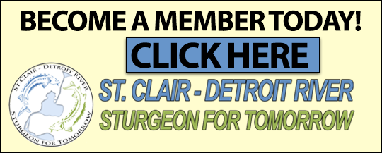 Become a Member